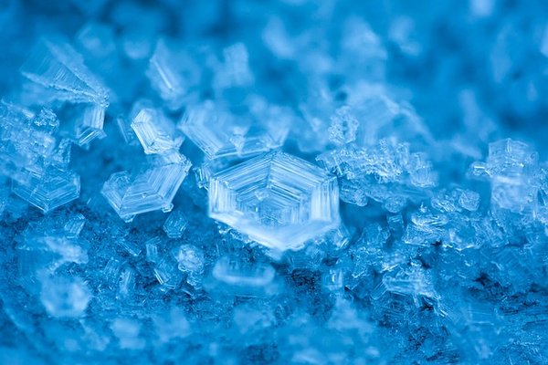 Location de chambre froide mobile : solution flexible et sécurisée